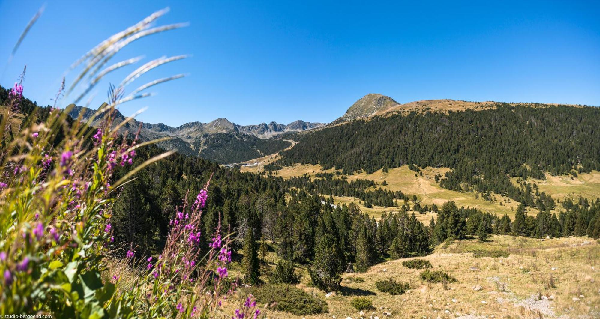 Pierre & Vacances Andorra بورده دينفاليرا المظهر الخارجي الصورة